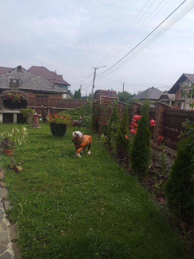 Pensiunea Rednic Lenuta Giulesti Esterno foto